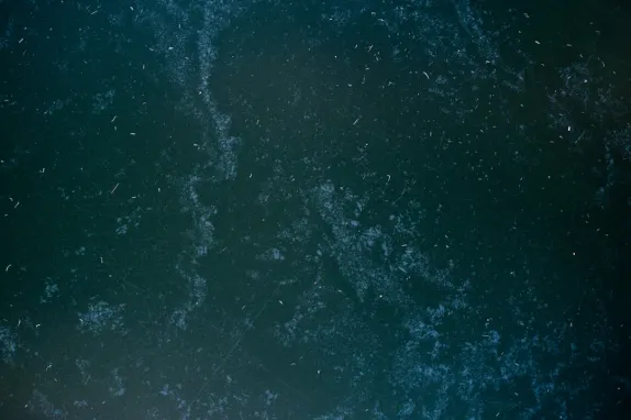 Τουρναβερς Καζίνο Υποστηριξη